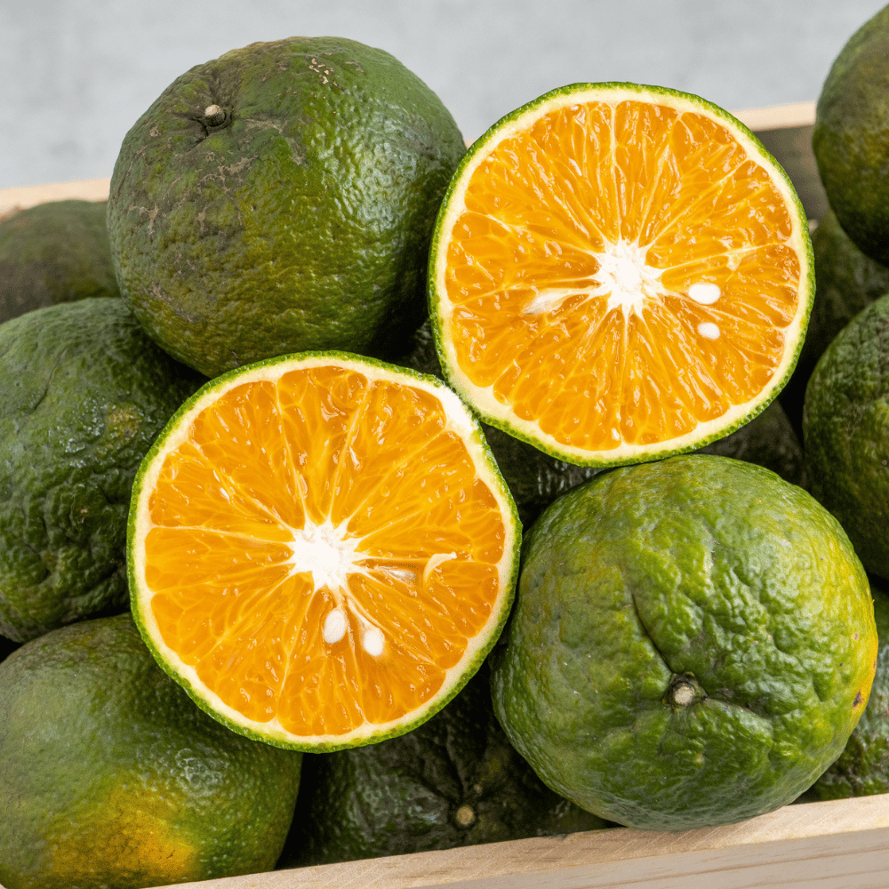 cam_sanh_vip___3-4_trai_kg__-_1kg__i0008705___2__ccf883e58fde4b038a37e9508ddcdb46_1024x1024 Cam sành