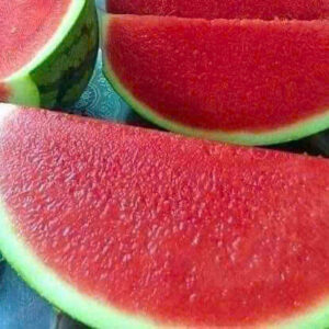 Dưa hấu không hạt