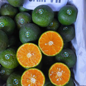 Cam sành – Loại 2