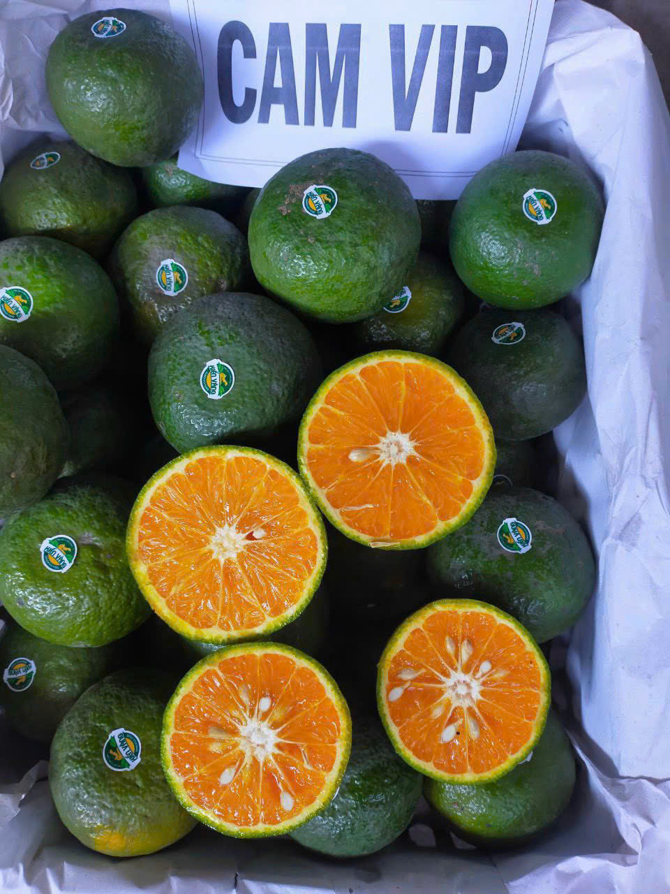 z6036950268983_4d7493535e295b38f265b3b4806b4823 Cam sành – Loại 2